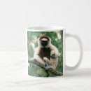 Search for lemur mugs Nature