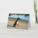 Recherche de puppy thank you cards Chiot