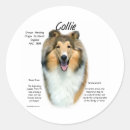Search for sable stickers Collie