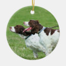 Search for brittany spaniel ornaments Animal