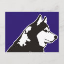 Search for snow sled postcards Husky