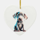 Search for weimaraner ornaments Canine