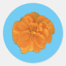 Search for marigold flowers stickers Orange