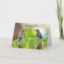 Recherche de humide vœux cartes Colibri