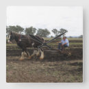 Search for australia clocks Time