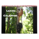 Search for lemur calendars Madagascar