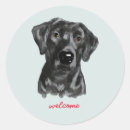 Search for black labs stickers Cute dog