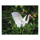Recherche de amoureux des animaux art Faune