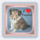 Search for shetland sheepdog stickers Animals