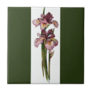 Search for dark green tiles Botanical