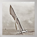 Search for sloop Ship