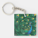 Search for peacock keychains Nature