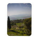 Recherche de monte magnets Méditerranéen