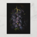 Search for purple grapes postcards Food