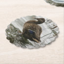 Recherche de canards dessous de verres Oiseau