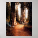 Recherche de séquoia géant posters Nature