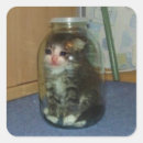 Search for sadness stickers Cat