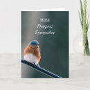 Search for bluebird cards Quote