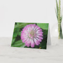 Search for drop of water cards Pink