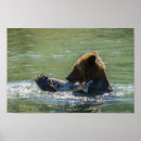 Search for salmon posters British columbia