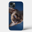 Recherche de yeux bleus iphone coques Oeil bleu