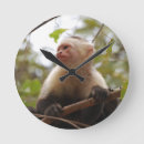 Recherche de horloge curieuse horloges Faune