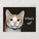 Search for grin postcards Face