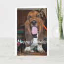 Recherche de basset hound birthday cards Chien