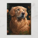 Recherche de golden retriever cartes postales Amoureux des chiens
