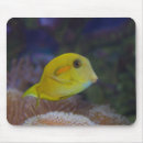 Search for fishy mousepads Sea