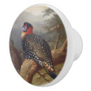 Recherche de oiseau rouge boutons et poignées de porte Nature