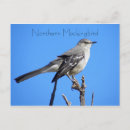 Search for mockingbird postcards Northern