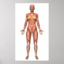 Search for abdominal art Medical