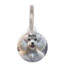 Recherche de caniches Pour animaux