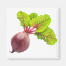 Search for beet kitchen dining Healthy