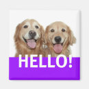 Recherche de chien pourpre magnets Chiens