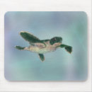 Search for baby turtle electronics Animals