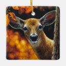 Search for whitetail deer ornaments Wildlife