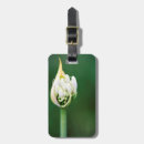 Search for african travel accessories Cape town