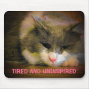 Search for boring electronics Kitty