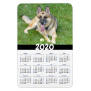 Recherche de oeil de chiot Animal familier