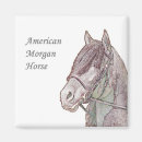 Recherche de horse magnets Équitation