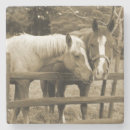 Search for equestrian coasters Country