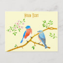 Recherche de merles cartes postales Oiseaux