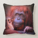 Search for orangutan pillows Nature