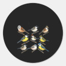 Search for funny birds stickers Lover