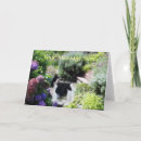 Search for springer cards Dog