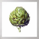 Search for artichoke posters Nature