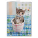 Recherche de munchkin cartes postales Animaux de bébé