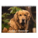 Search for golden retriever calendars Puppy